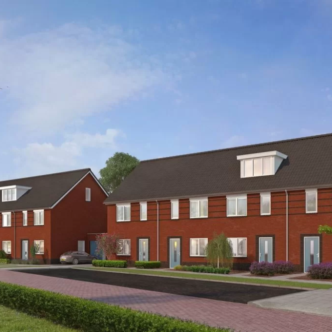 project-vuurvlinder.jpg