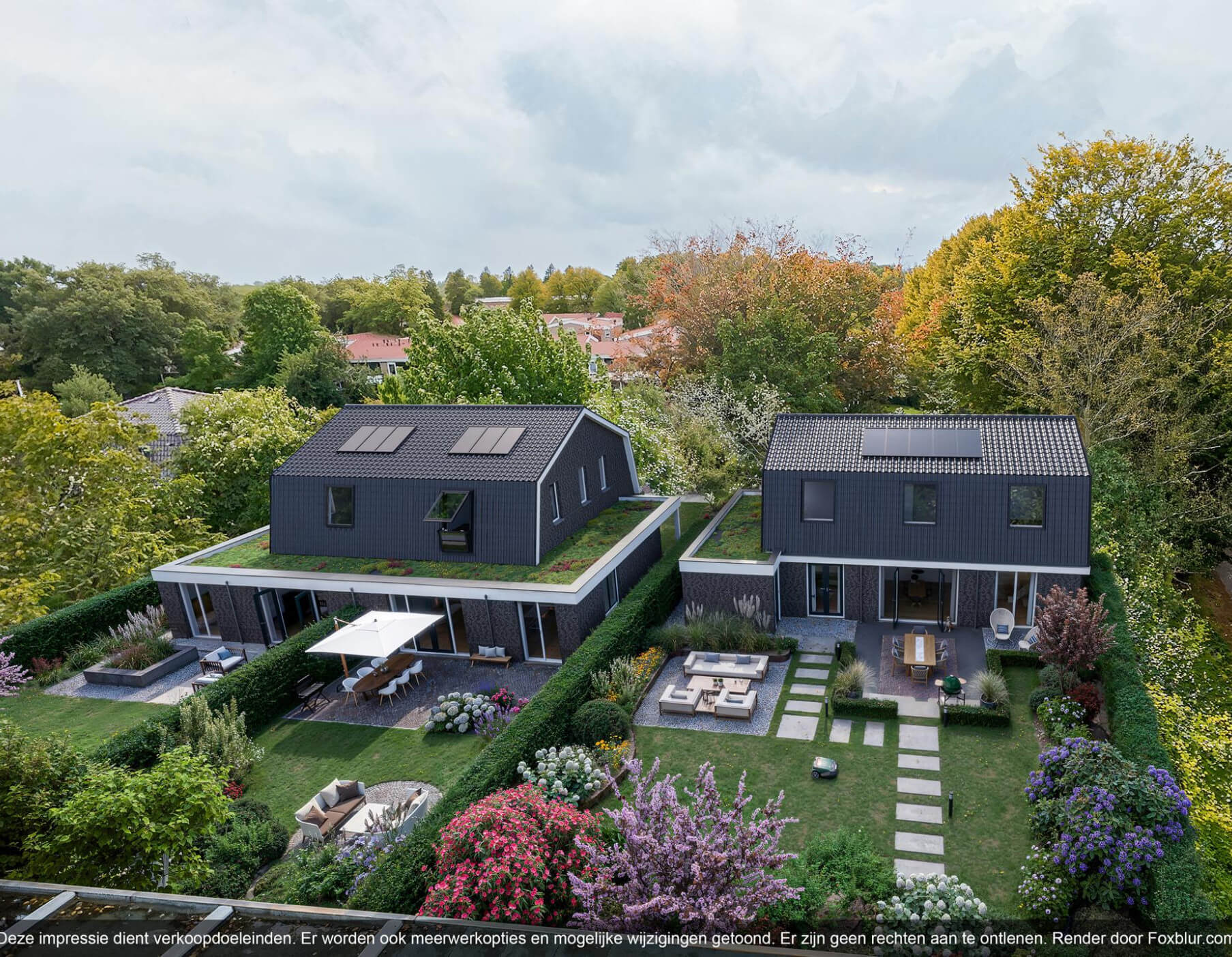 molenlaan.jpg molenlaan.jpg