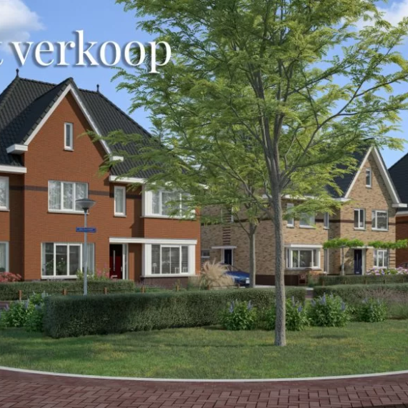 gouden-harpbuurt-bs8.jpg
